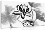 Dovido Tablou floare de lotus în design alb-negru - 40x30 - dovido - 92,53 RON
