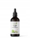 NatVita Stevia Folyékony Vanília Aroma Természetes Helyettesítő 50ml NatVita (12861 50ML)