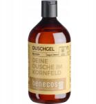Benecos tusfürdő bio-zab 500 ml (1659-0)
