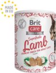 Brit -Brit Care Cat Snack Superfruits Lamb 100 g