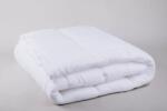 Naturtex Antibacterial Soft paplan 140x200 cm - 600g (75098)