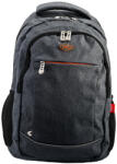 DACO Ghiozdan scoala Daco GH4624, 46 × 29 × 14 cm, Gri (GH4624)
