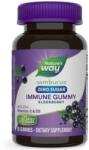 Nature's Way Sambucus Immune Gummy, fără zahăr, 50 de tablete de jeleu, Nature's Way