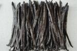  Prémium vaníliahüvelyek 17+ cm - erős aromájú - 500 g (kb. 120 hüvely)