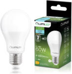 Lumileds LED izzó E27 A60 8W = 60W 880lm 6500K Hideg 260° LUMILED (LUMLEDJ0013)