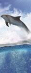 Consalnet Delfin poszter, fotótapéta (91 x 211 cm) (C1-188VET)