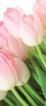 Consalnet Tulipánok öntapadós poszter, fotótapéta (91 x 211 cm) (C1-8-018SKT)
