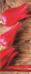 Consalnet Tulipánok poszter, fotótapéta (91 x 211 cm) (C1-272VET)