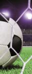 Consalnet Football poszter, fotótapéta (91 x 211 cm) (C1-155VET)