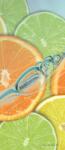 Consalnet Citrus poszter, fotótapéta (91 x 211 cm) (C1-110VET)