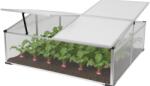 Strend Pro Mini sera de gradina Strend Pro din policarbonat, 100x100x40 cm (2170848)
