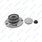 GSP Set rulment roata GSP 9228036K (9228036K) - automobilus