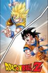Pyramid International Dragon Ball Z Cell Saga poszter 61x91, 5 cm