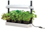 Urban Garden fehér konyhakert nagy