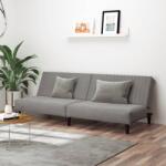 vidaXL Canapea extensibila cu 2 locuri, gri deschis, catifea GartenMobel Dekor (375926) Canapea