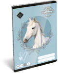 LIZZY Füzet vonalas LIZZYSULI A/5 32 lapos 14-32 1. osztályos Wild Beauty Sport Club (7500167004) - papir-bolt
