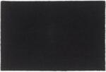 vidaXL Covoras de usa, negru, 60x90 cm, fibre de cocos GartenMobel Dekor (155576) Pres