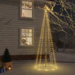 vidaXL Brad de Craciun, 310 LED-uri, alb cald, 300 cm, cu tarus GartenMobel Dekor (343554)