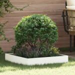 vidaXL Margine pentru gazon Alb 60 x 60 x 13 cm Otel GartenMobel Dekor (874732)