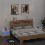 vidaXL Noptiere cu LED-uri, 2 buc. , alb, 60x35x40 cm GartenMobel Dekor (3080734)
