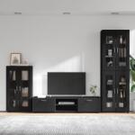 vidaXL Set comoda TV cu sertar cu usa FLORIN 3 pcs Negru Lemn compozit GartenMobel Dekor (3397955)