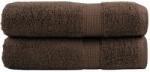 vidaXL Prosoape de maini premium SOLUND 2 buc maro 50x100cm 600gsm GartenMobel Dekor (137233) Prosop