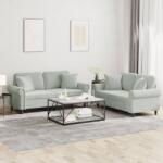 vidaXL Set canapea cu perne, 2 piese, gri deschis, catifea GartenMobel Dekor (3202230) Canapea