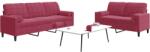 vidaXL Set canapea cu perne/rulouri, 2 piese, rosu vin, catifea GartenMobel Dekor (3278415) Canapea