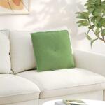 vidaXL Perna pentru spate Verde deschis 50 x 45 cm GartenMobel Dekor (42014635)