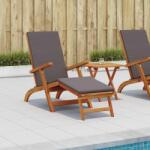 vidaXL Sezlong pliabil si culisant 2 pcs Gri închis GartenMobel Dekor (3415403)