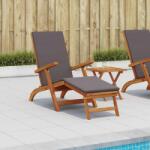 vidaXL Sezlong pliabil si culisant 55 x 146 x 91 cm GartenMobel Dekor (42025002)