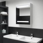 vidaXL Dulap de baie cu oglinda si LED-uri, 50x13, 5x60 cm GartenMobel Dekor (285115)