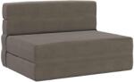 vidaXL Canapea Plianta cu Pat Gri deschis 190 x 100 x 15 cm GartenMobel Dekor (900114) Canapea