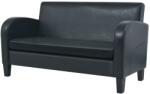 vidaXL Canapea cu 2 locuri Piele artificiala Negru GartenMobel Dekor (245587) Canapea