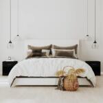 vidaXL Noptiere cu sertar, 2 buc. , negru GartenMobel Dekor (342583)