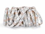 KOLORENO Bandă LED 12V | 5050 | 300LED | 5m | IP65 | Plant 4R: 1B (4x roșu + 1x alb rece) (TL12V505060IP65PLANT)