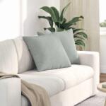 vidaXL Perne pentru canapea 2 pcs Gri deschis 50 x 50 cm GartenMobel Dekor (42013971)