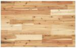 vidaXL Blat de baie finisaj cu ulei, 120x50x4 cm, lemn masiv de acacia GartenMobel Dekor (3279712)