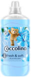 Coccolino 1.7 l öblítőkoncentrátum Fresh and soft (Blue splash)