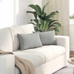 vidaXL Perne pentru canapea 2 pcs Gri deschis 50 x 30 cm tesatura GartenMobel Dekor (42013640)