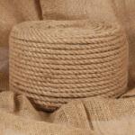 vidaXL Franghie din iuta 100% 10 mm 100 m GartenMobel Dekor (91273)