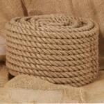 vidaXL Franghie din iuta 100% 20 mm 50 m GartenMobel Dekor (91276)