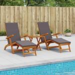 vidaXL Sezlong pliabil si culisant 2 pcs Gri 55 x 146 x 91 cm GartenMobel Dekor (42025008)