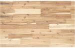 vidaXL Blat de baie netratat, 100x50x4 cm, lemn masiv de acacia GartenMobel Dekor (3279679)