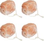 vidaXL Blocuri de Sare 4 buc cu Corde pentru Animale 10 kg Roz GartenMobel Dekor (42000116)