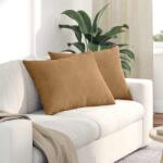 vidaXL Perne pentru canapea 2 pcs Maro 70 x 50 cm GartenMobel Dekor (42013764)