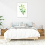vidaXL Noptiere, 2 buc. , stejar afumat, 40x39x40 cm GartenMobel Dekor (817028)