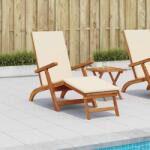 vidaXL Sezlong pliabil si culisant 55 x 146 x 91 cm GartenMobel Dekor (42025001)