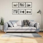 vidaXL Covor "IZA" aspect scandinav, cu fire scurte, gri, 80x150 cm GartenMobel Dekor (375450) Covor