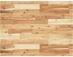 vidaXL Blat de baie finisaj cu ulei, 100x60x4 cm, lemn masiv de acacia GartenMobel Dekor (3279716)